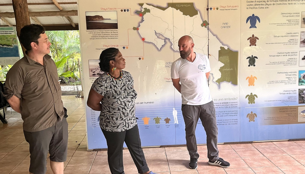 Intercambio de experiencias sobre conservación de tortugas marinas