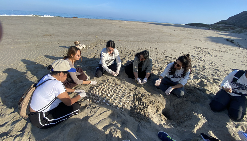 ecOcamp