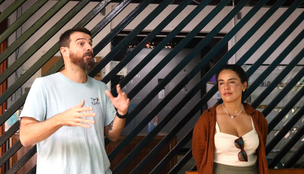 Intercambio de experiencias sobre conservación de tortugas marinas