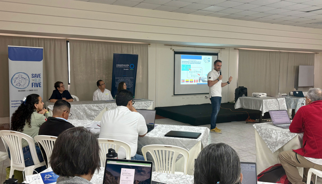 taller regional para estandarizar el monitoreo de especies marinas