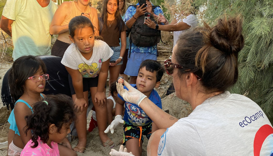 Grupo de personas participantes durante proceso de anidación de tortugas marinas