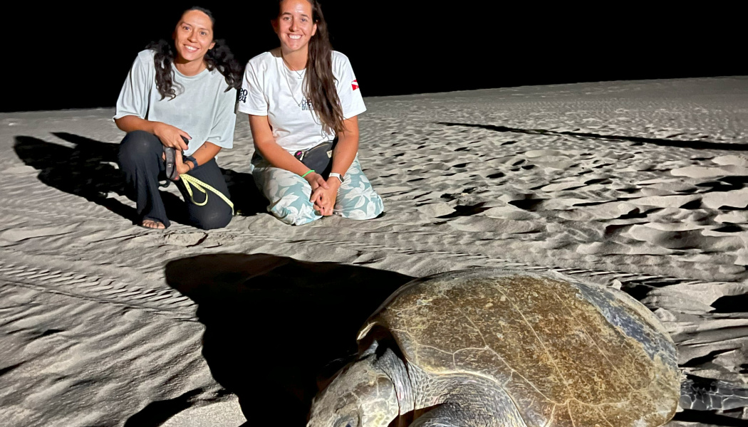 Dos mujeres participantes en la noche sobre la arena durante el proceso de anidación de tortugas, 