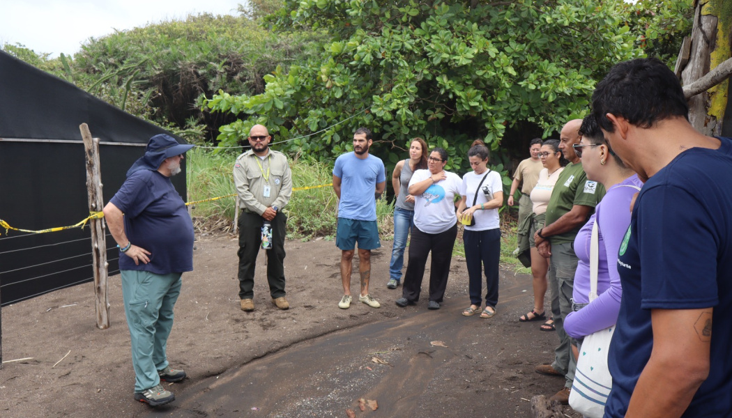 Taller sobre Manual de Conservación de Tortugas en Viveros y Playas