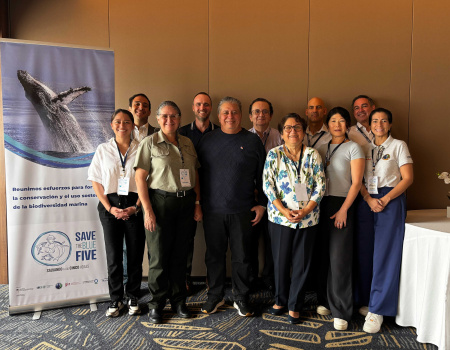 Comité Regional de Conducción del proyecto Save The Blue Five