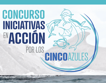 Concurso Iniciativas en Acción por los Cinco Azules