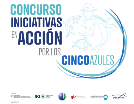 Concurso Iniciativas en Acción por los cinco azules