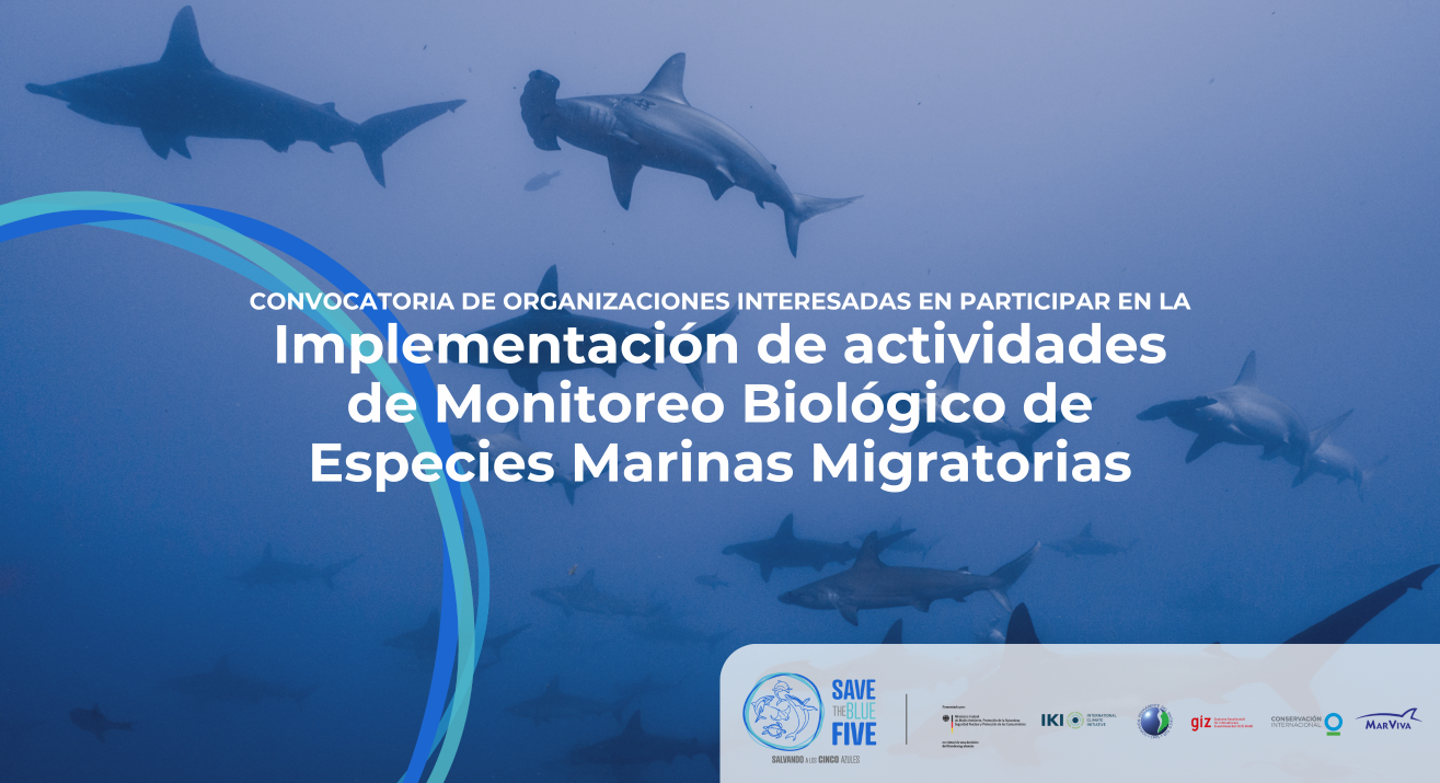 Implementación de actividades de Monitoreo Biológicao de especies marinas migratorias