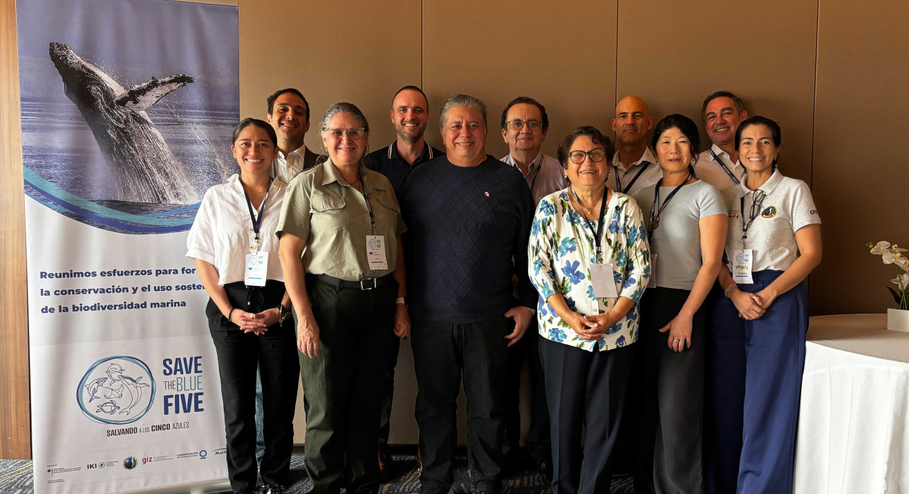 Comité Regional de Conducción del proyecto Save The Blue Five