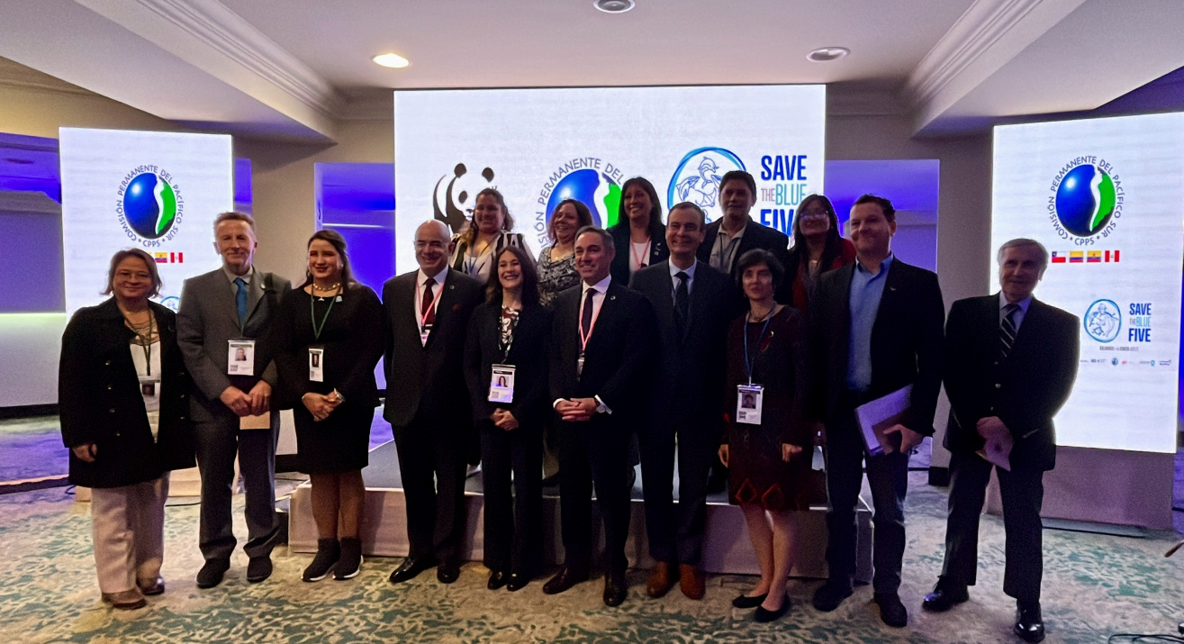 Participación de Save The Blue Five en la Reunión Bienal de la Comisión Ballenera Internacional