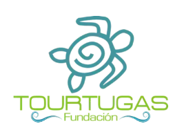 Logo de Fundación de tortugas marinas