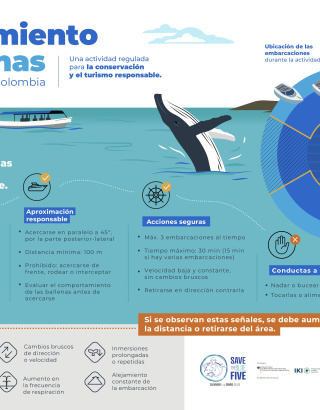 Infografia de avistamiento de ballenas en Colombia