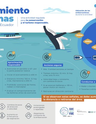 Infografia de avistamiento de ballenas en Ecuador