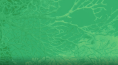 Monitoreo de especies